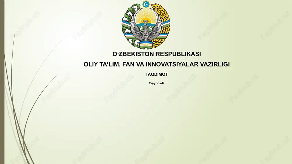raqamli ma'lumotlar bilan ishlash asoslari — PPTX