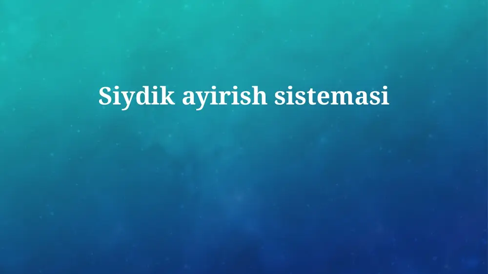 siydikayirishsistemasi — PPTX