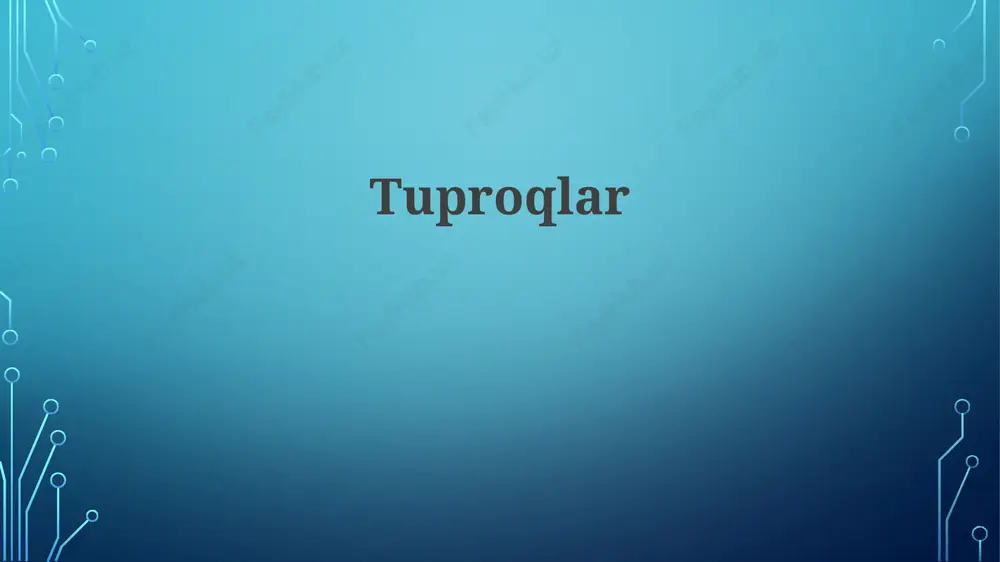 tuproqlar — PPTX