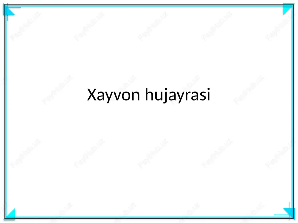 xayvon hujayrasi — PPTX