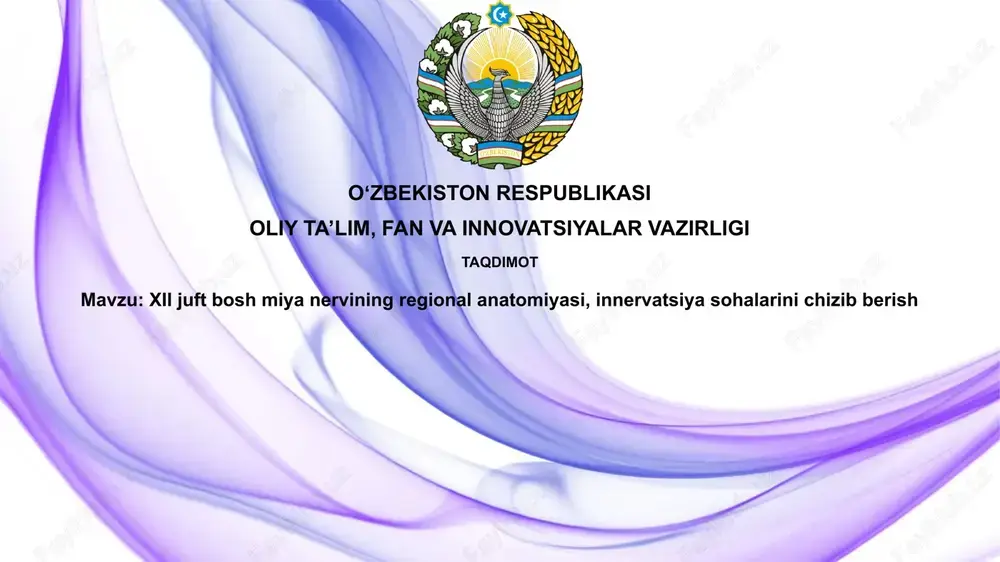 bosh miya nervlarining anatomiyasi va innervatsiya sohalari — PPTX
