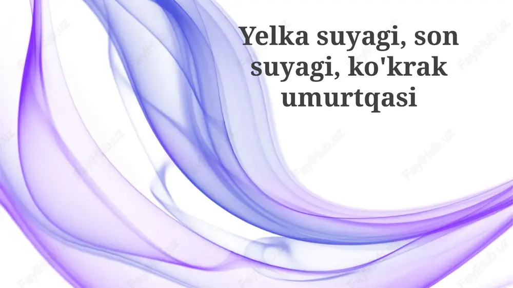 kurak suyagi, suyak koʻmigi va koʻkrak umurtqalari — PPTX