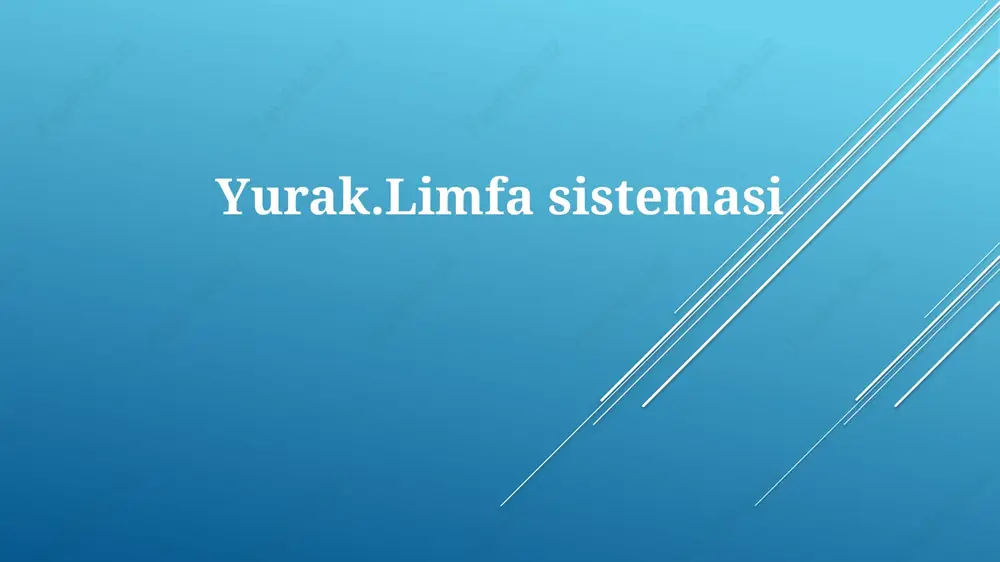 yurak.limfasistemasi — PPTX