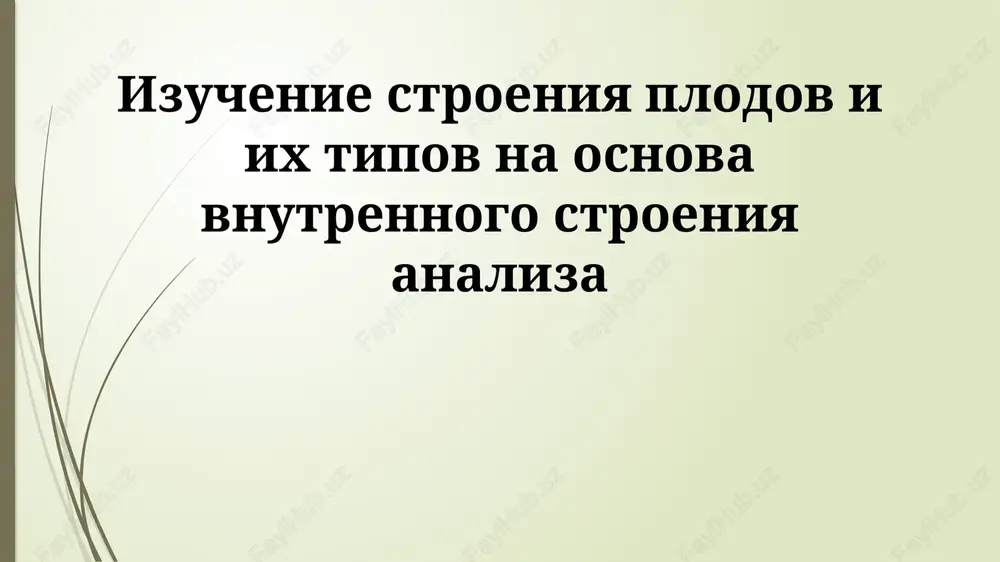 izuchenie stroeniya plodov — PPTX