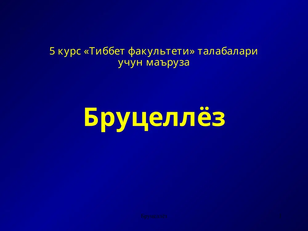 brutsellyoz — PPT