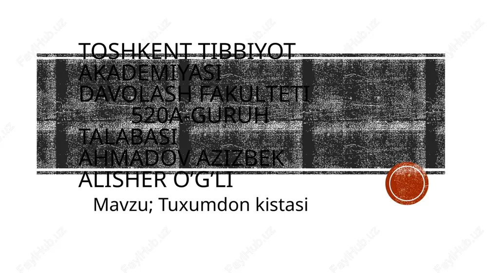 tuxumdonkistasi — PPTX