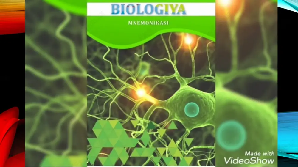 ildiz (diz) — PPTX