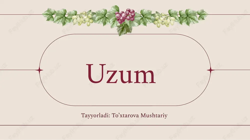 uzum — PPTX