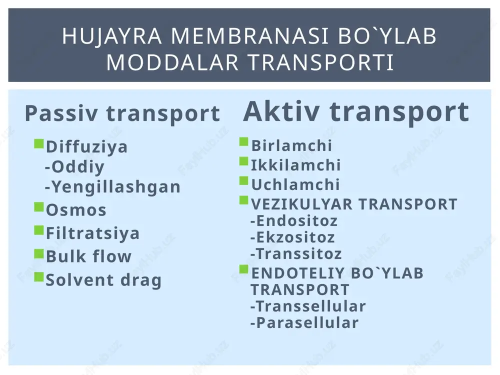 passivtransport — PPTX