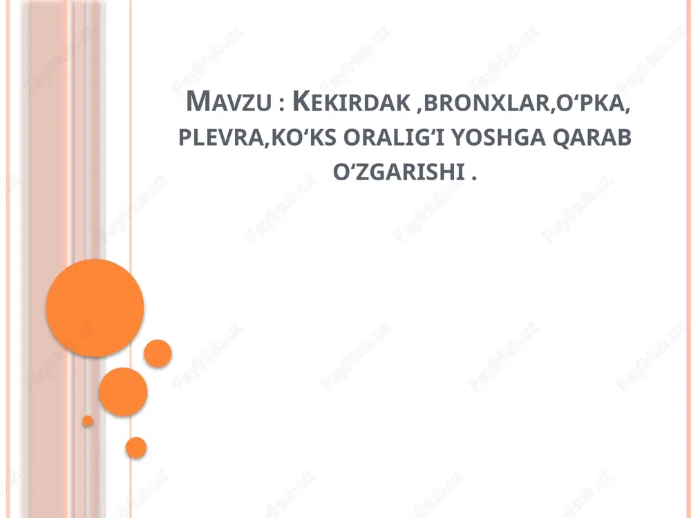 kekirdak — PPTX