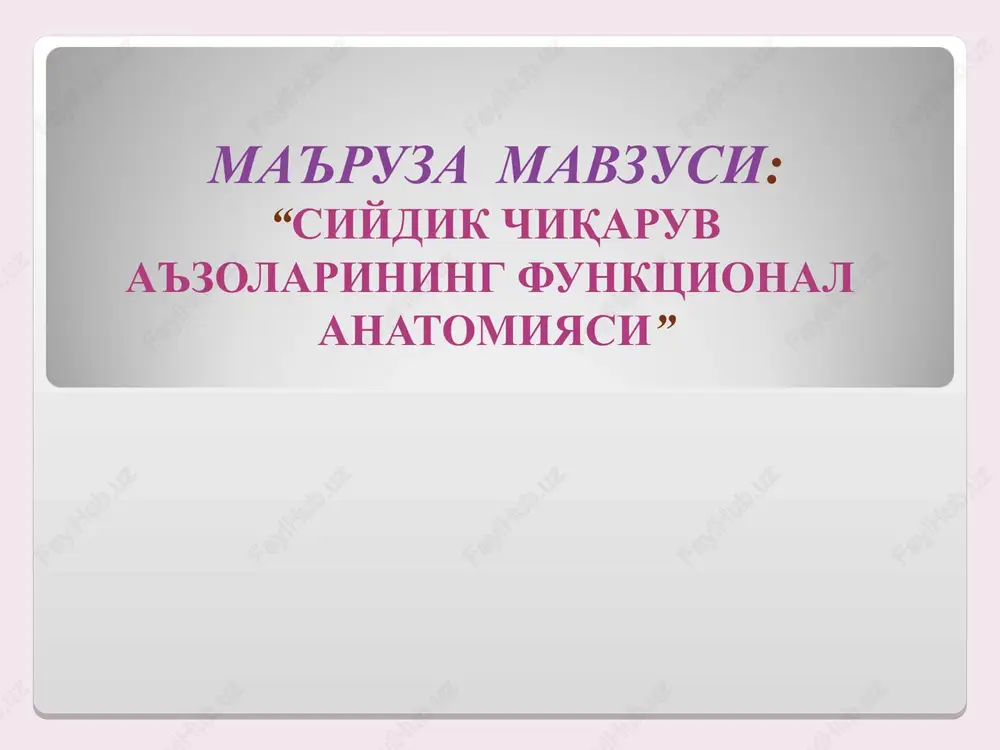 "siydik chiqaruv a'zolarining funktsional anatomiyasi" — PPT