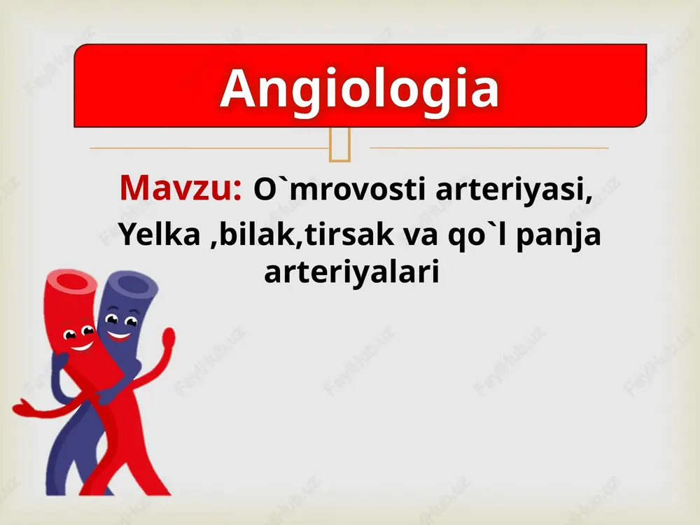 o`mrovostiarteriyasi — PPTX