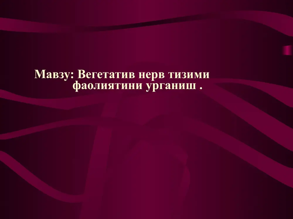 vegetativnervtizimi — PPTX