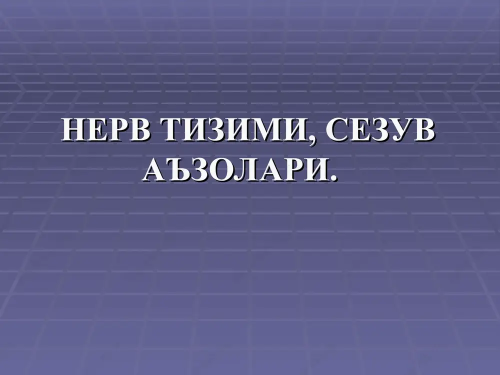 nerv tizimi,sezuv a'zolari — PPT
