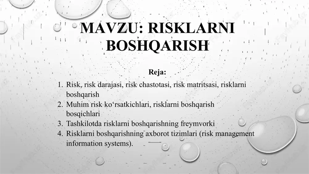 risklarni boshqarish — PPTX
