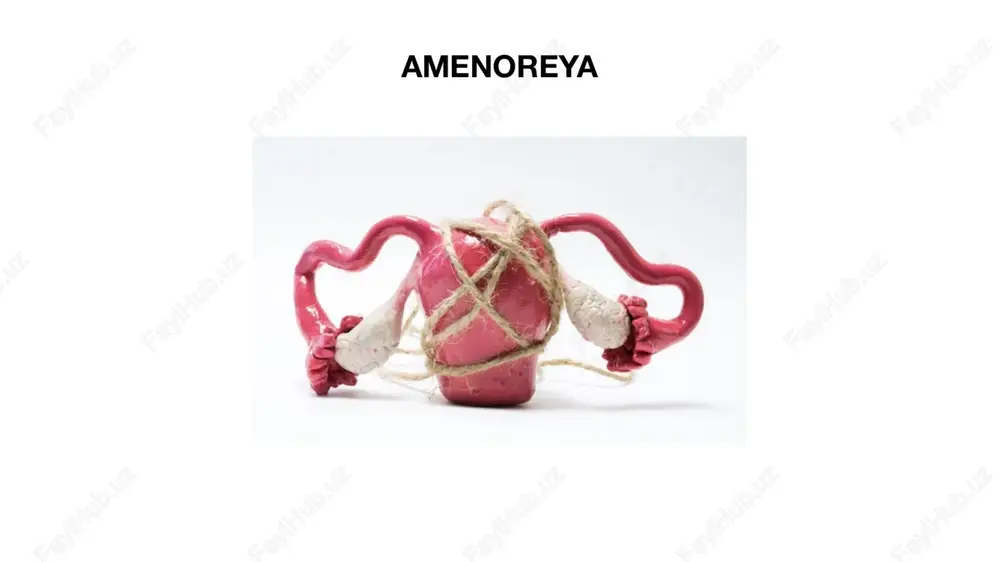 amenoreya — PPTX