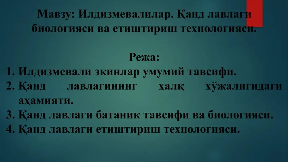 ildizmevalilar — PPTX