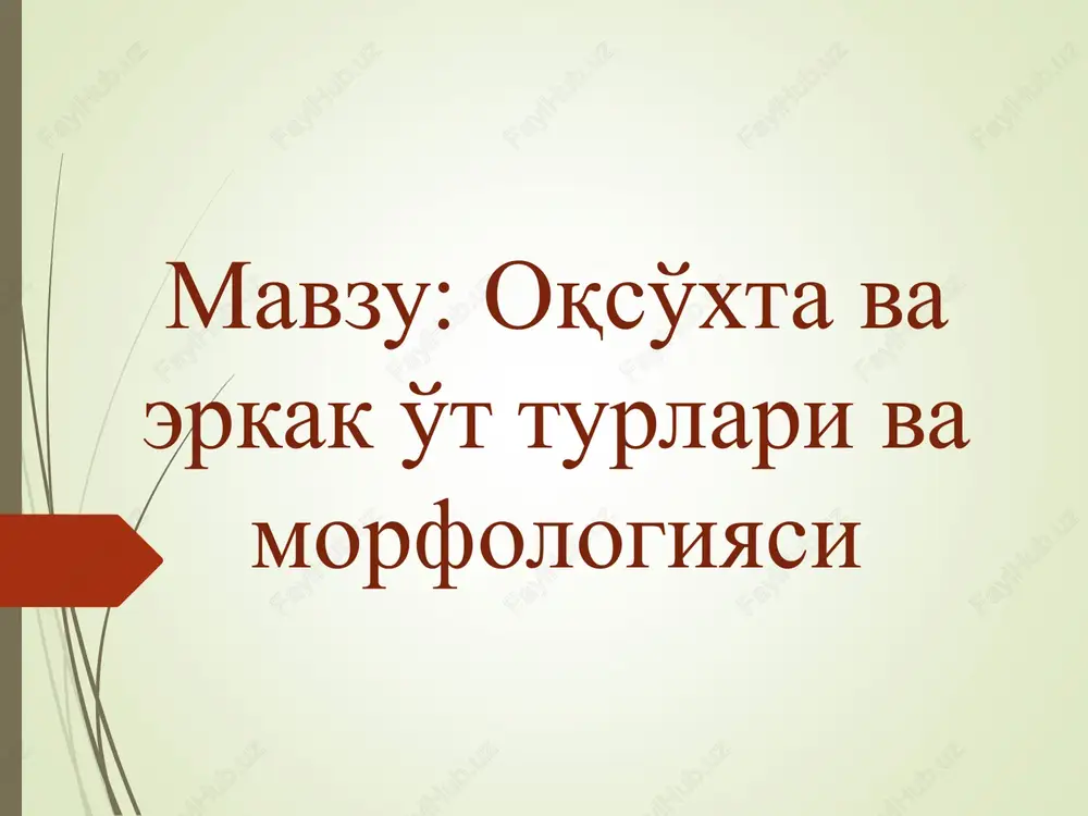 oqso'xta va erkak o't turlari va morfologiyasi — PPT