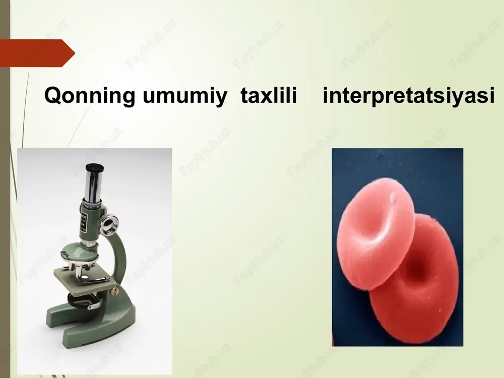 qonning umumiy taxlili interpretatsiyasi — PPTX