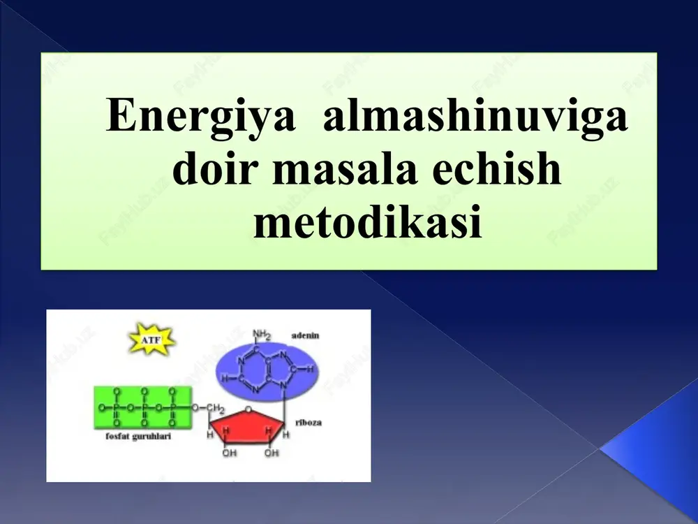 energiya almashinuvi gadoir masala echish metodikasi — PPTX