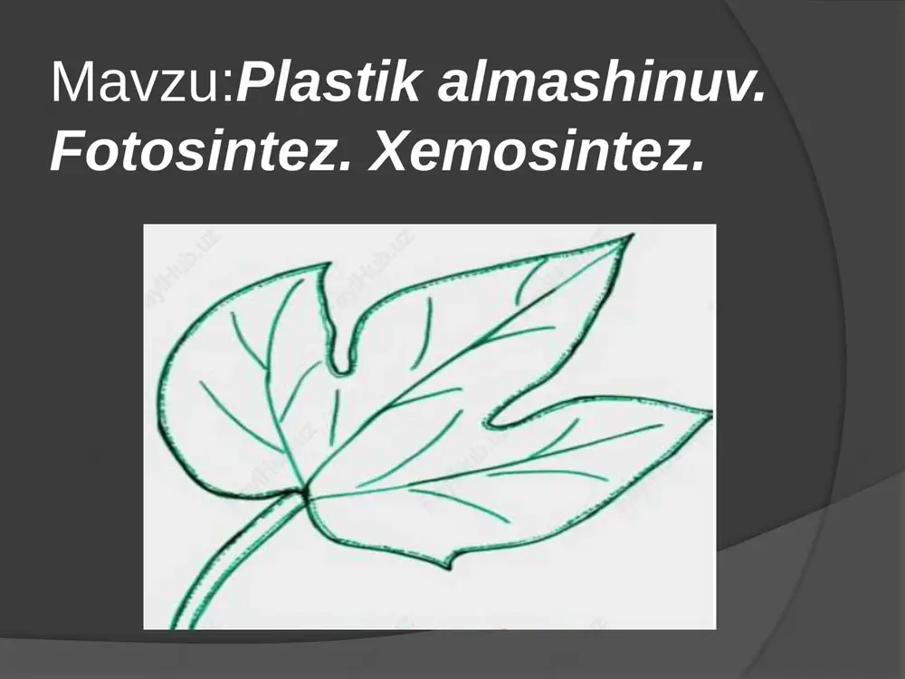 plastik almashinuv — PPTX