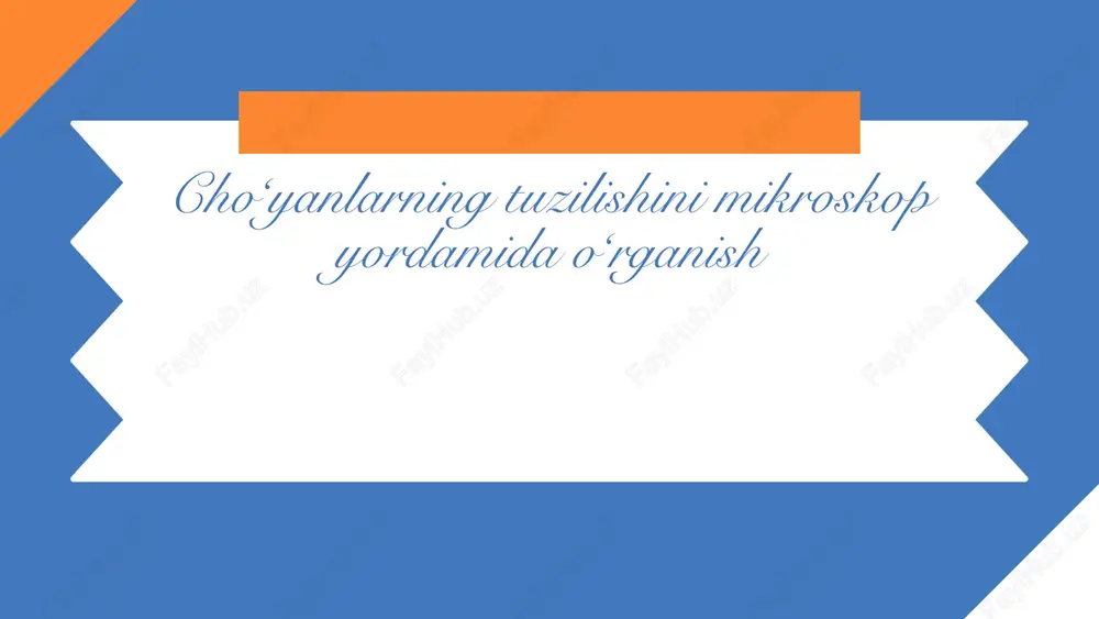 choʻyanlarning tuzilishini mikroskop yordamida oʻrganish — PPTX