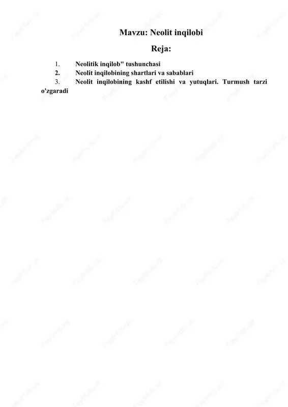 neolit inqilobi — DOCX