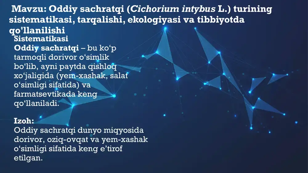 oddiy sachratqi: dorivor xususiyatlar va qo‘llanilishi — PPTX