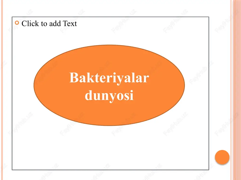 bakteriyalardunyosi — PPTX