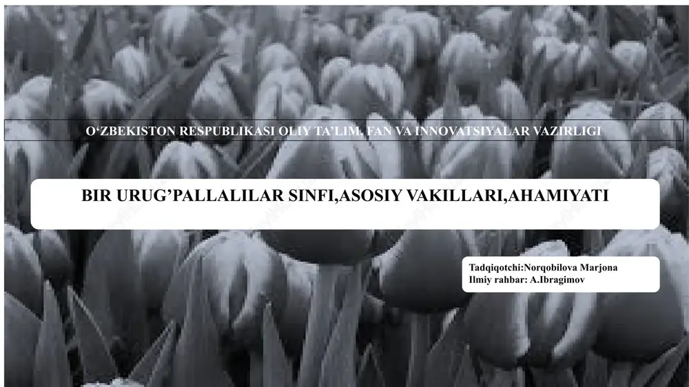 urug’pallalilar sinfi — PPTX