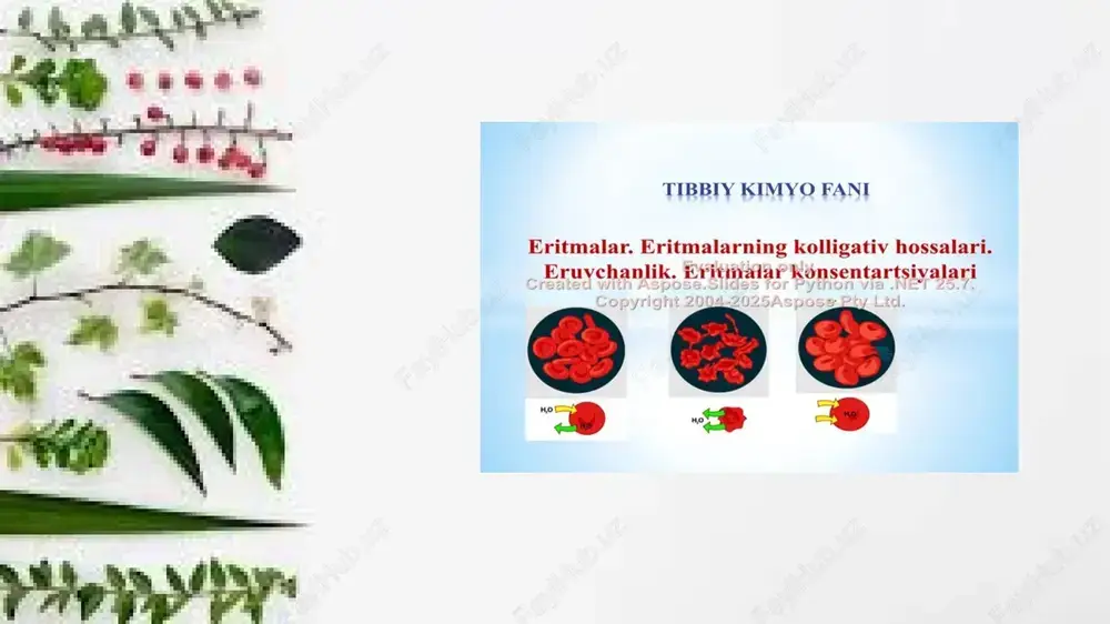 eritmalar — PPTX