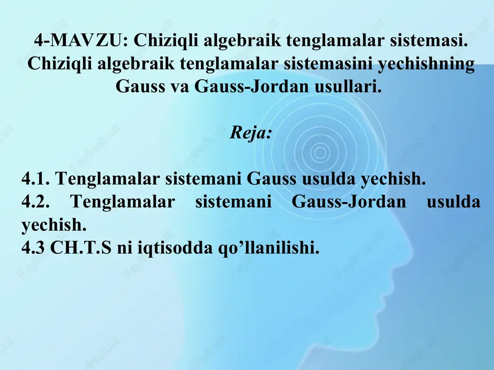 chiziqli algebraik tenglamalar sistemasi — PPT