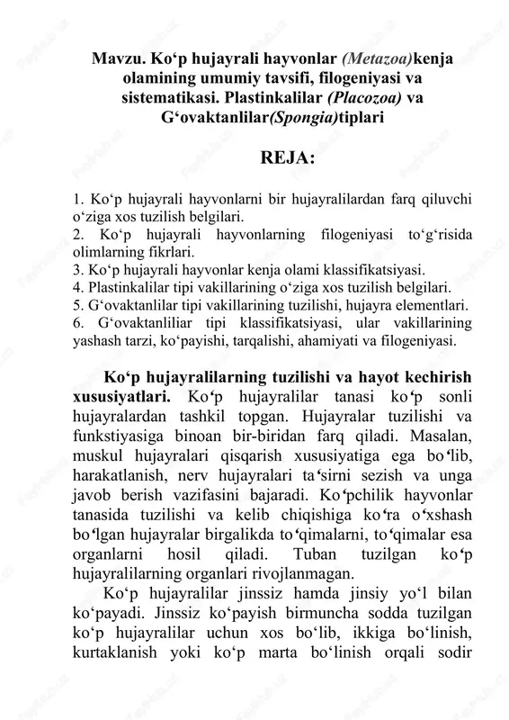ko‘p hujayrali hayvonlar turlari — DOCX
