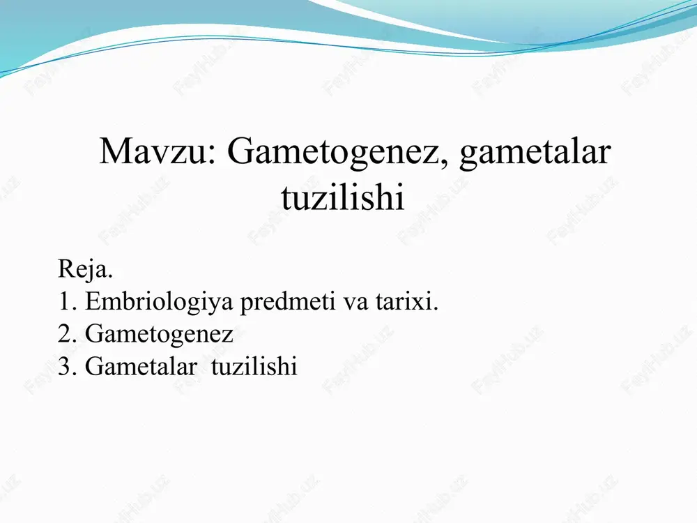 embriologiya — PPTX