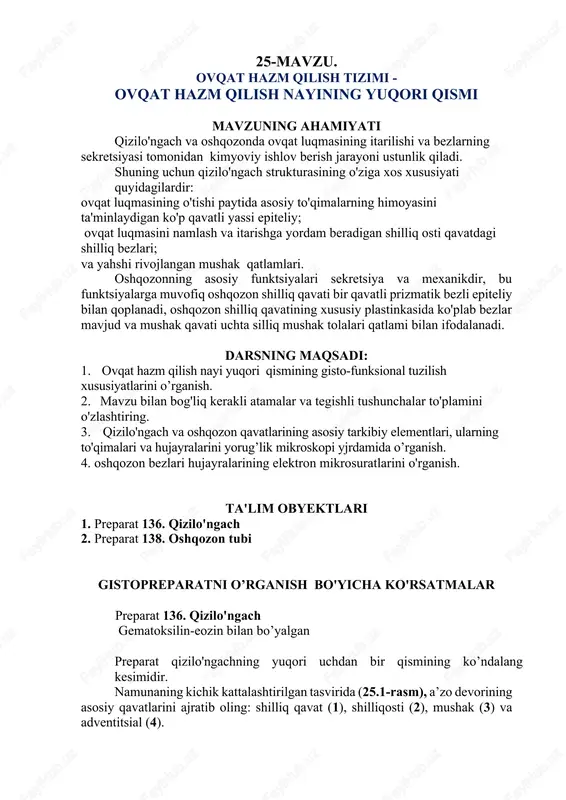 ovqat hazm qilish tizimi — DOCX