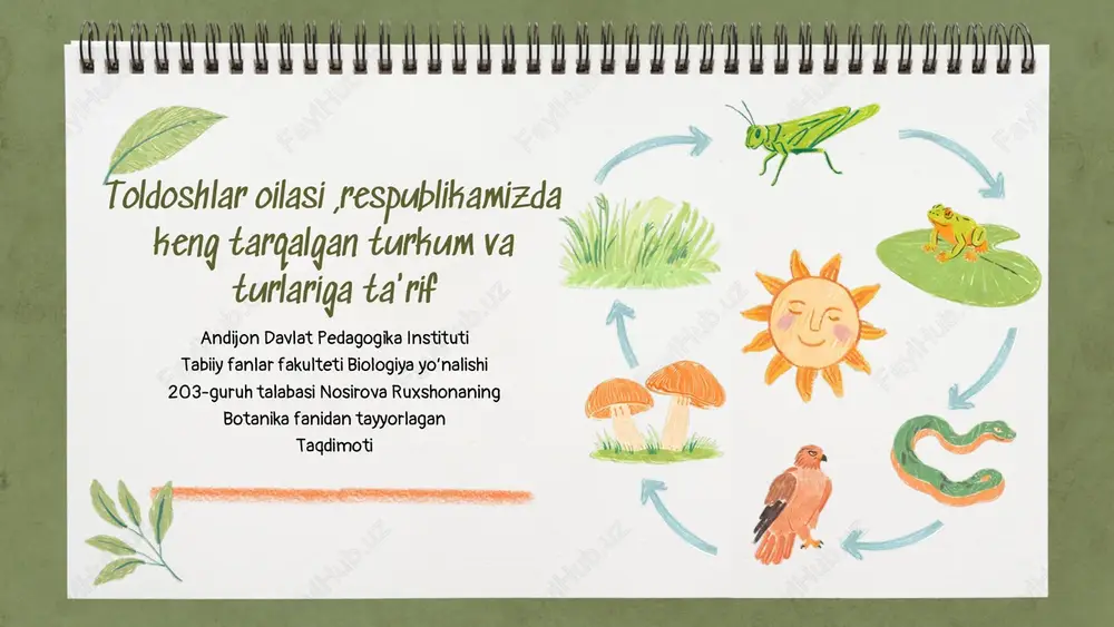 toldoshlar oilasi — PDF