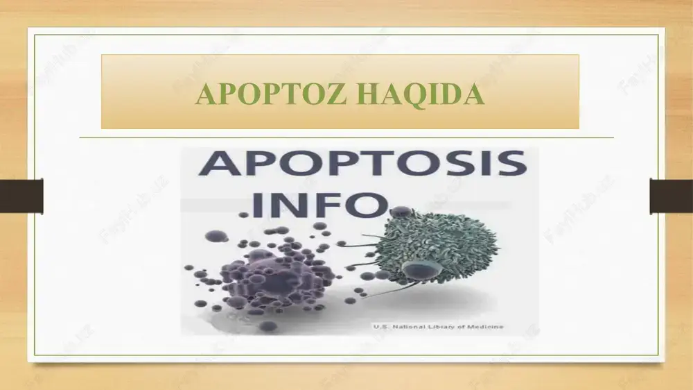 apoptozhaqida — PPTX