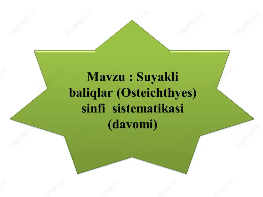 suyakli baliqlar — PPT