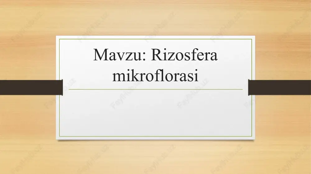 rizosfera mikroflorasi — PPTX