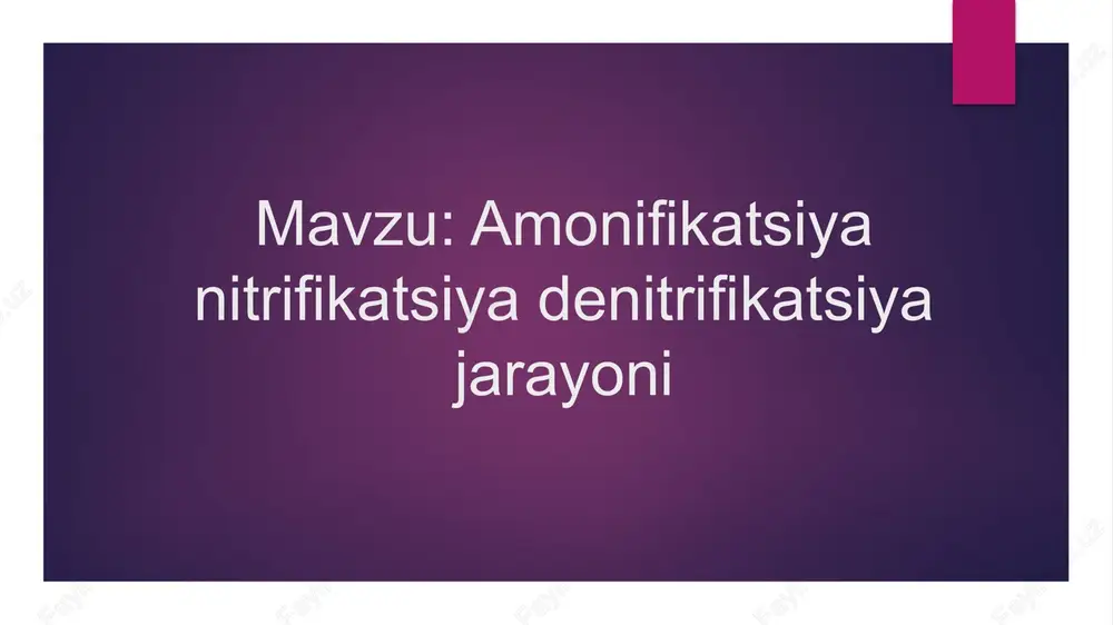amonifikatsiya nitrifikatsiya denitrifikatsiya jarayoni — PPTX