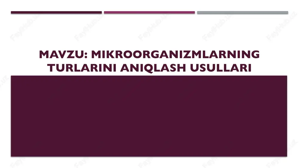 mikroorganizmlarning turlarini aniqlash usullari — PPTX