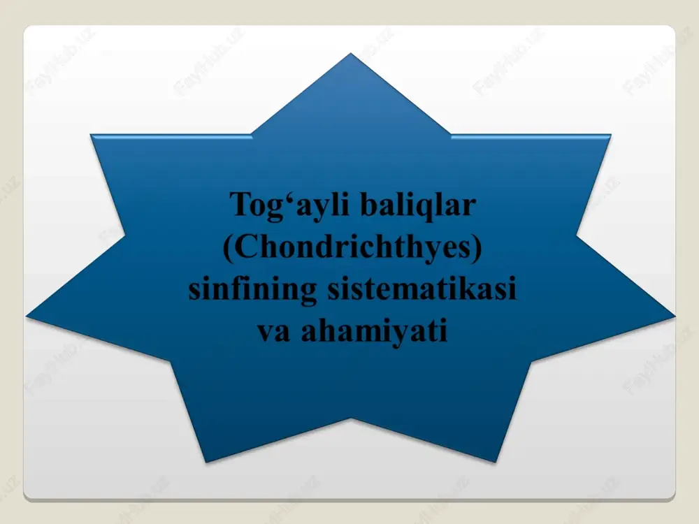 tog‘ayli baliqlar sinfi — PPT
