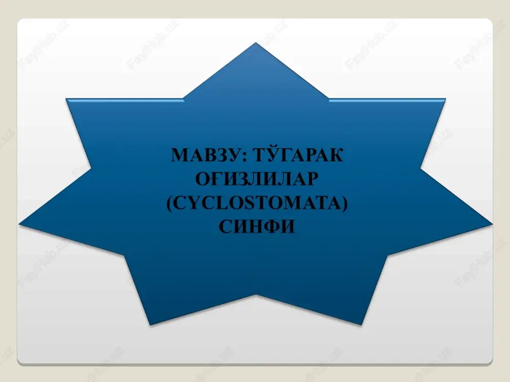 umurtqalilar kenja tipi — PPT