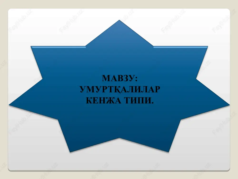 umurtqalilar — PPT