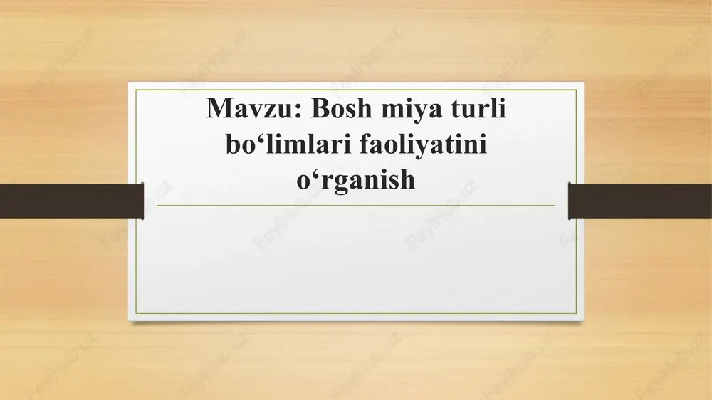 bosh miya turli boʻlimlari faoliyatini oʻrganish — PPTX