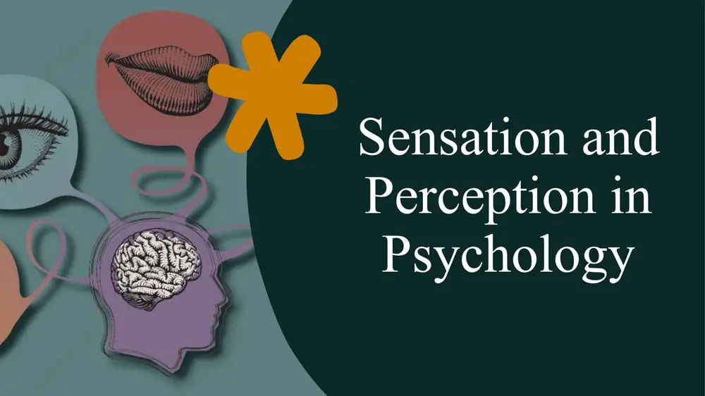 sensation and perception in psychology — PPTX