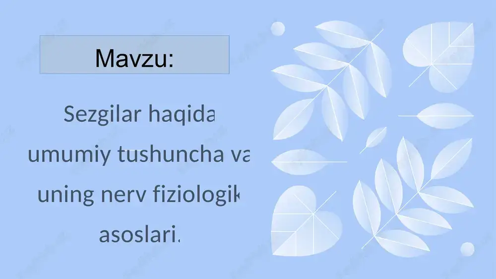 sezgilar haqida umumiy tushuncha — PPTX