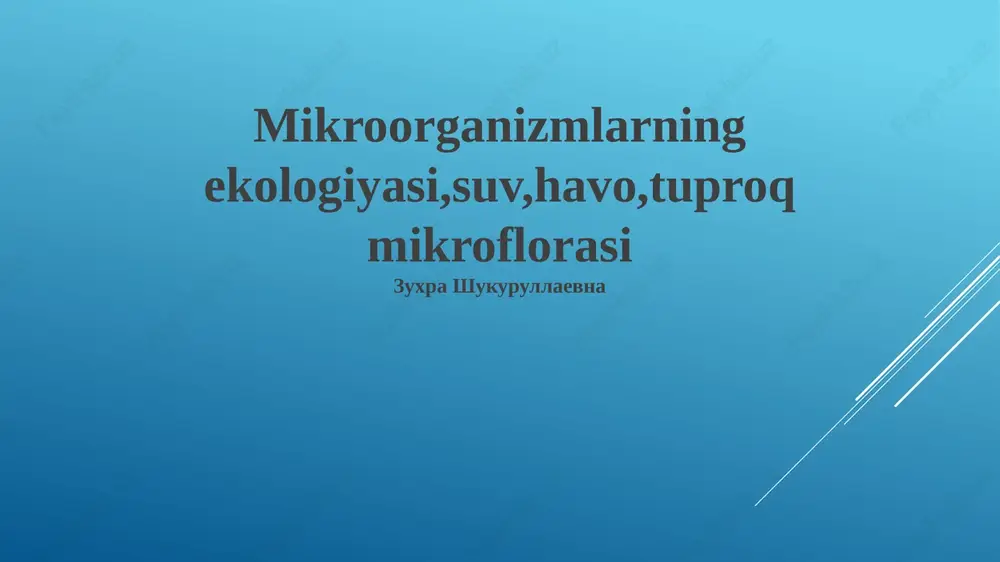 mikroorganizmlarning ekologiyasi — PPTX