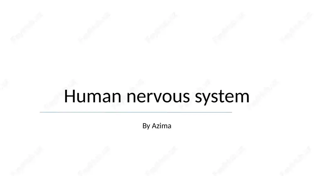 human nervous system — PPTX