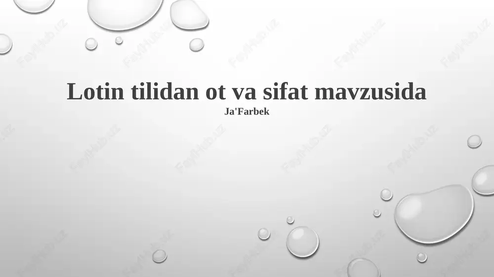 lotin tilidan ot va sifat mavzusida — PPTX